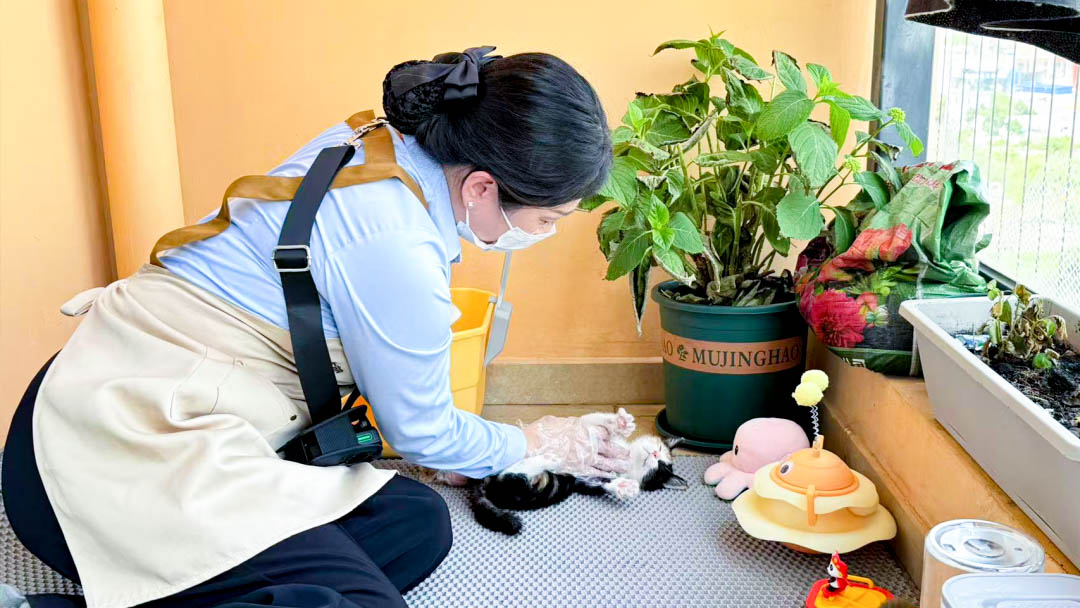 圖片16.jpg